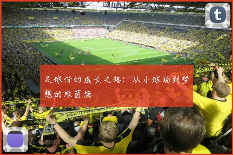 足球仔的成长之路：从小球场到梦想的绿茵场