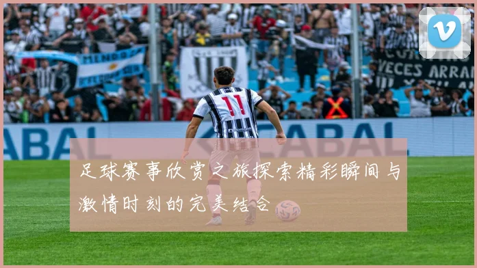足球赛事欣赏之旅探索精彩瞬间与激情时刻的完美结合