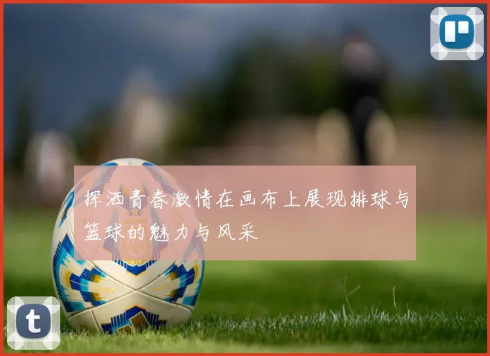 挥洒青春激情在画布上展现排球与篮球的魅力与风采