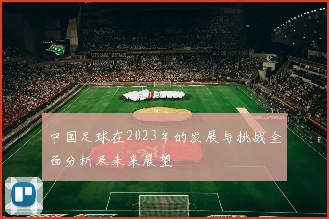 中国足球在2023年的发展与挑战全面分析及未来展望