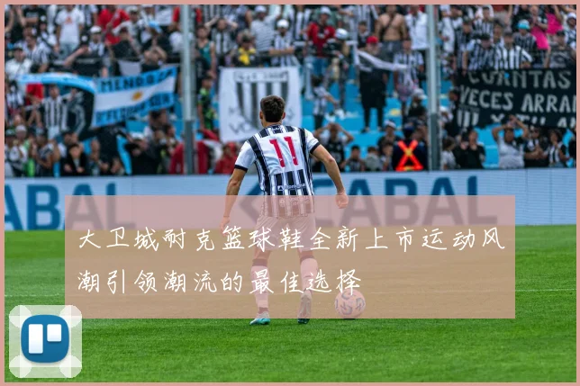 大卫城耐克篮球鞋全新上市运动风潮引领潮流的最佳选择